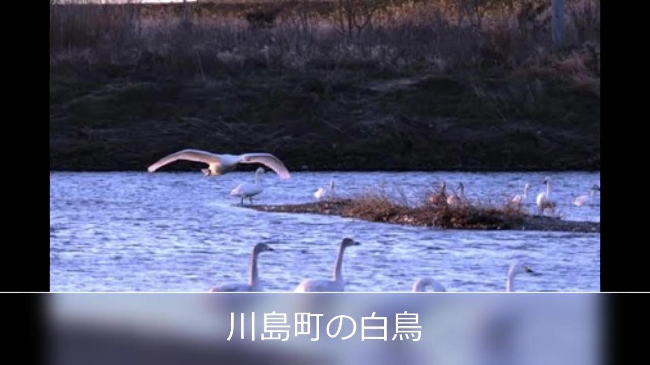 Le Ciel Spa & Resort (Adults Only) Tsurugashima Εξωτερικό φωτογραφία